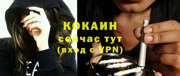 дурь Сатка
