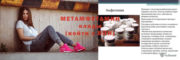 прущие грибы Саяногорск