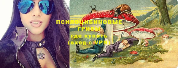 прущие грибы Саяногорск