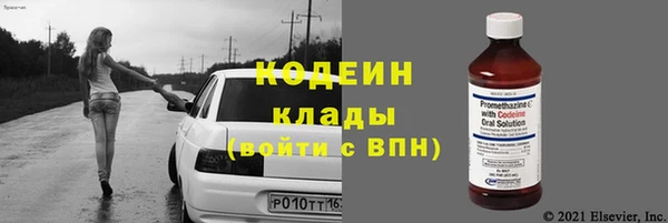 прущие грибы Саяногорск