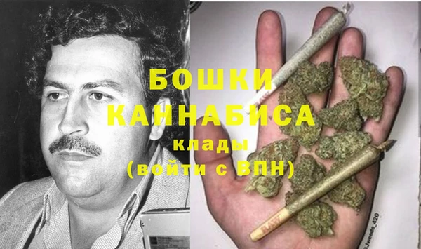 прущие грибы Саяногорск