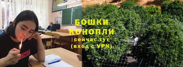 прущие грибы Саяногорск