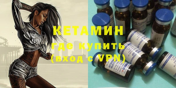 прущие грибы Саяногорск