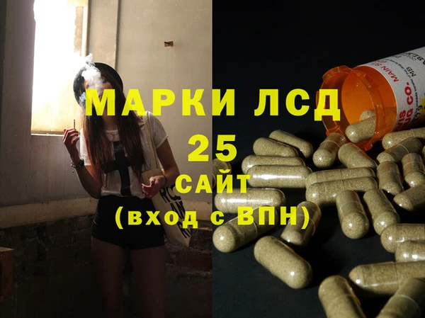 прущие грибы Саяногорск