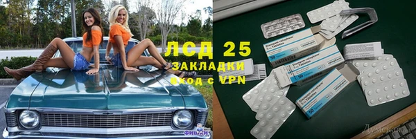 прущие грибы Саяногорск