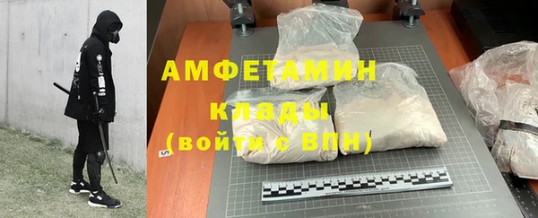 прущие грибы Саяногорск