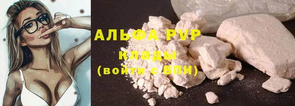 прущие грибы Саяногорск