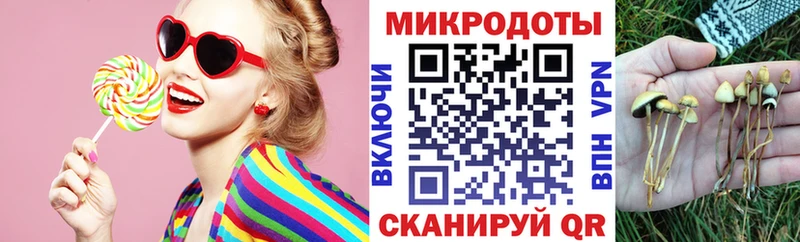 Псилоцибиновые грибы Psilocybe  Купить закладки  Сегежа 
