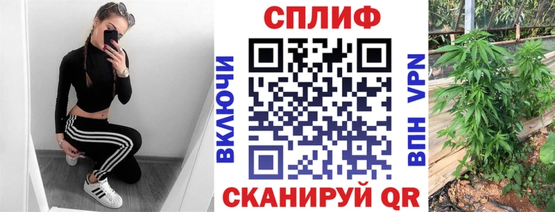 Конопля план Купить Сегежа